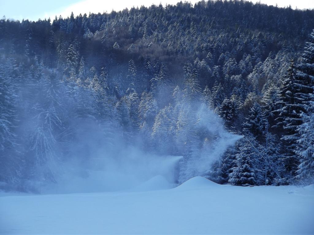 Pensiunea Casa Zmeilor Dragus ภายนอก รูปภาพ