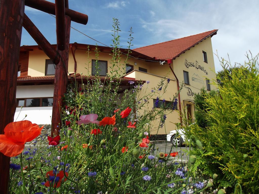 Pensiunea Casa Zmeilor Dragus ภายนอก รูปภาพ
