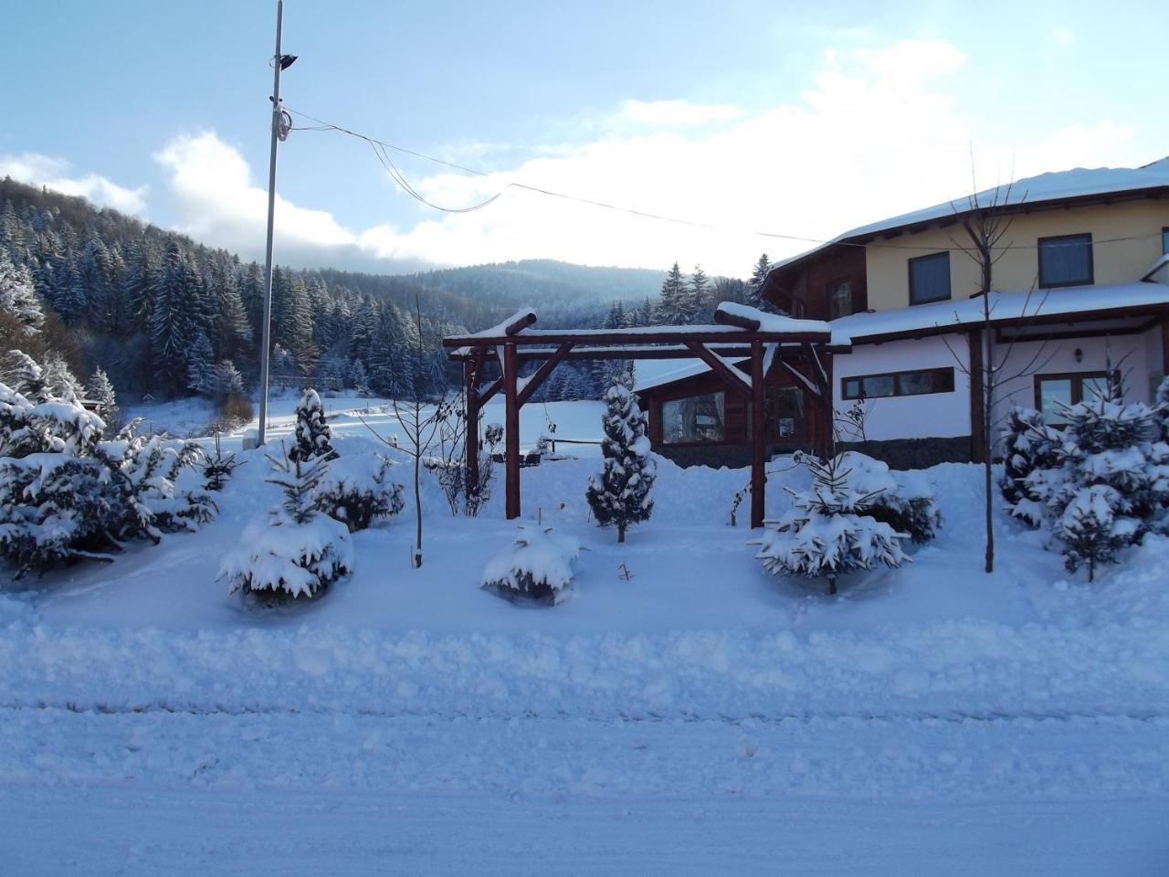 Pensiunea Casa Zmeilor Dragus ภายนอก รูปภาพ